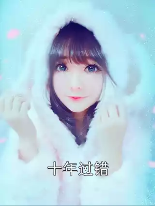 十年过错小说