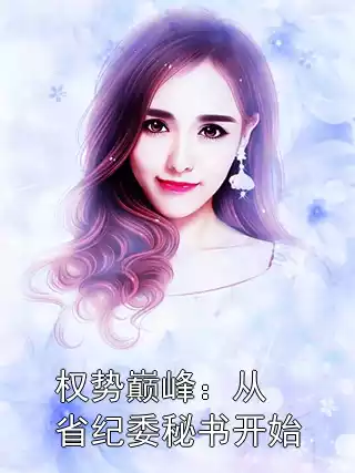 权势巅峰：从省纪委秘书开始小说